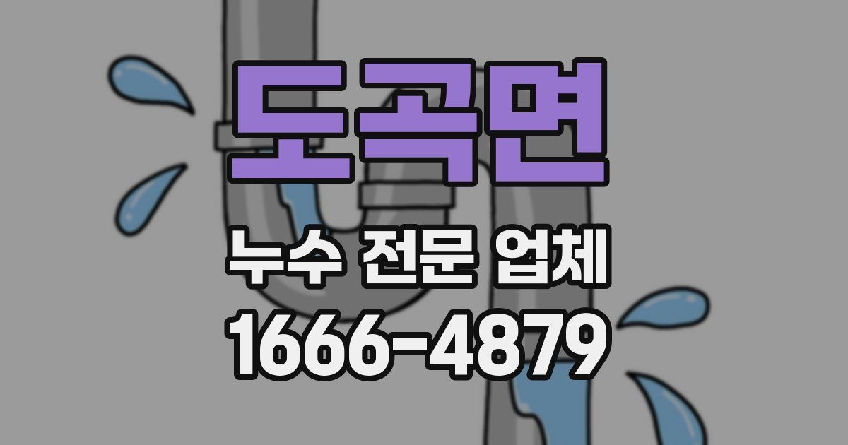 도곡면 누수 전문 업체
