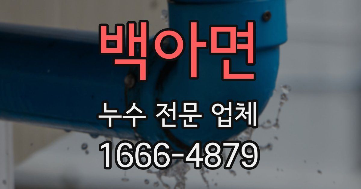 백아면 누수 전문 업체