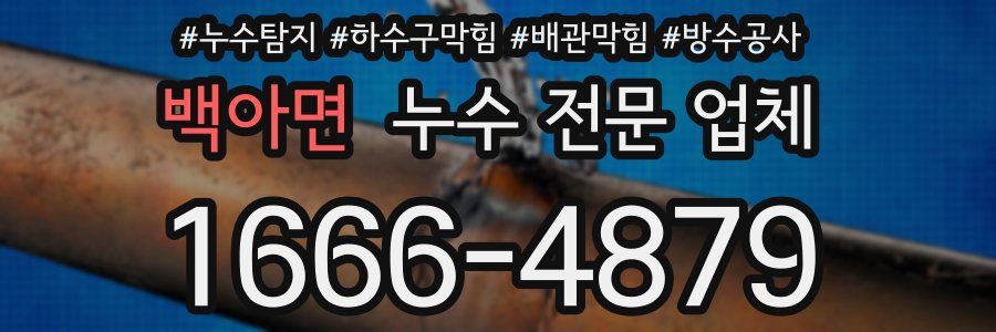 백아면 누수 전문 업체