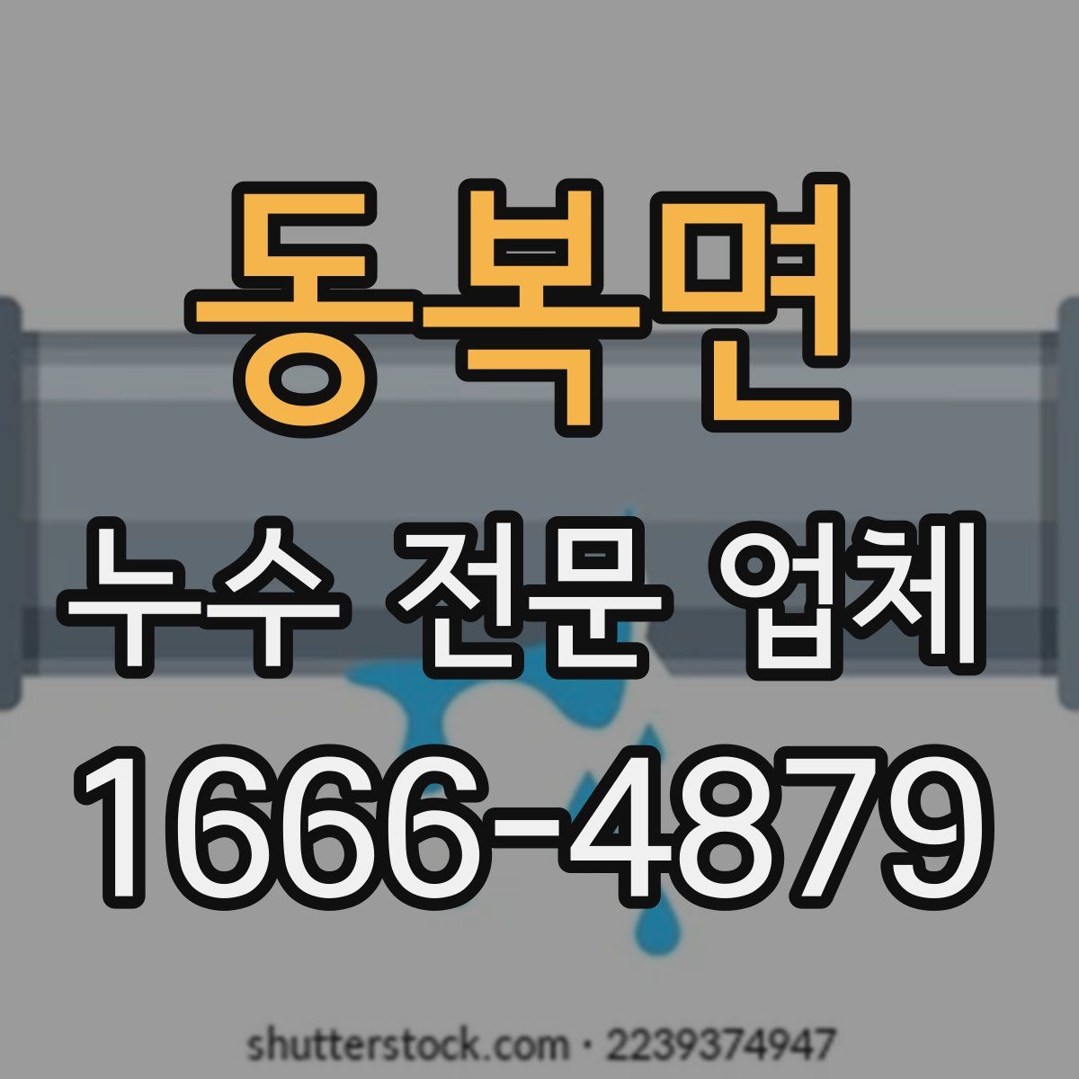동복면 누수 전문 업체