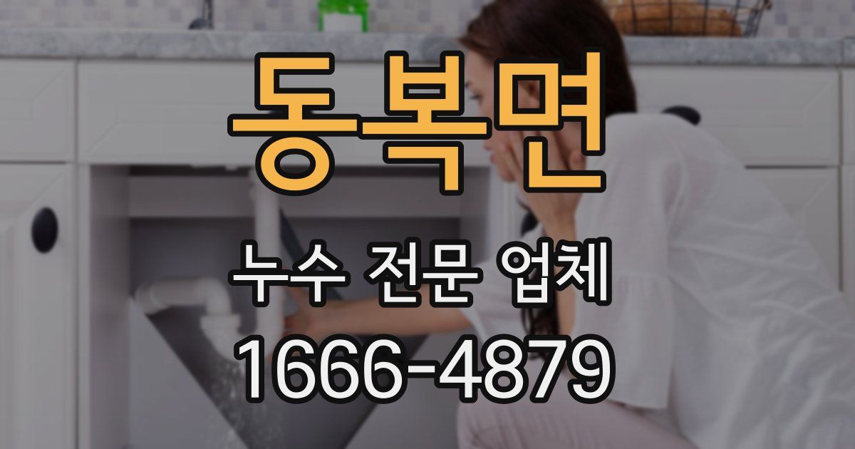 동복면 누수 전문 업체