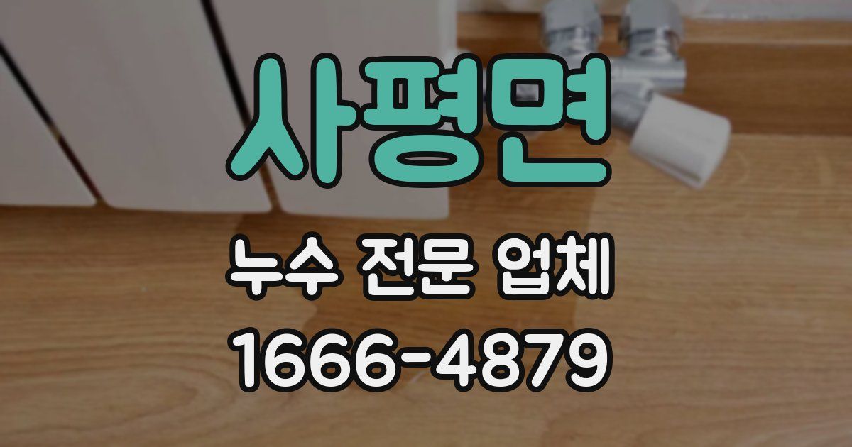 사평면 누수 전문 업체