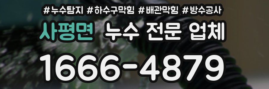 사평면 누수 전문 업체