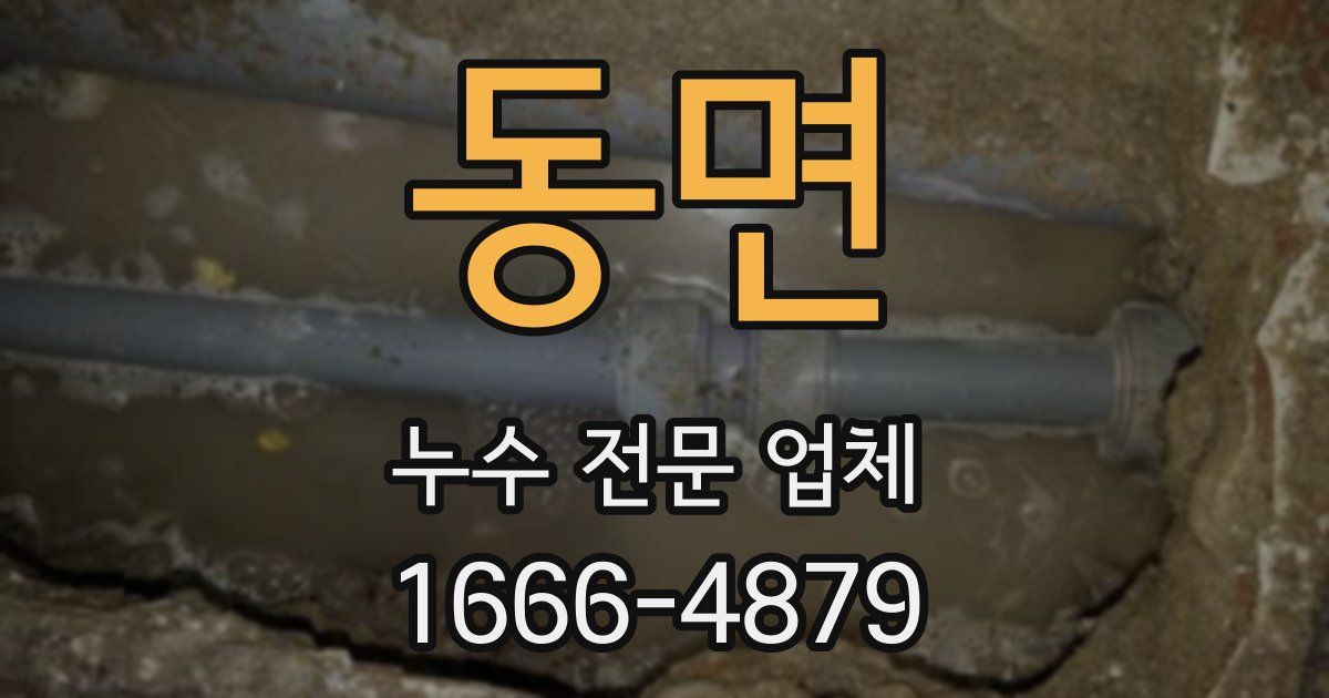 동면 누수 전문 업체