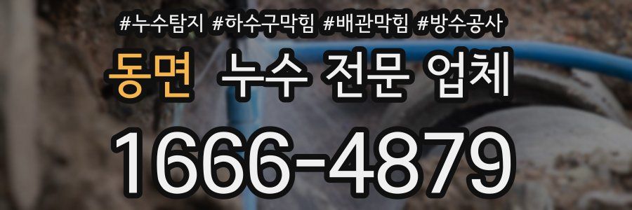 동면 누수 전문 업체
