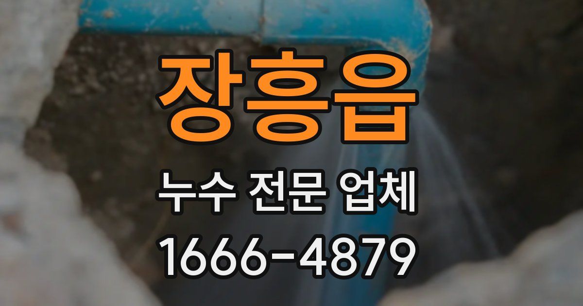 장흥읍 누수 전문 업체