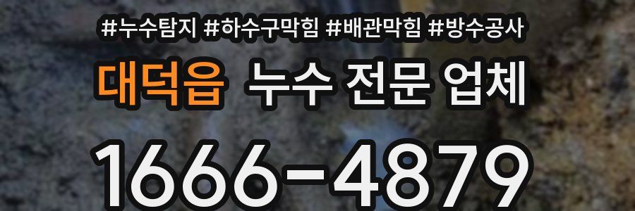 대덕읍 누수 전문 업체