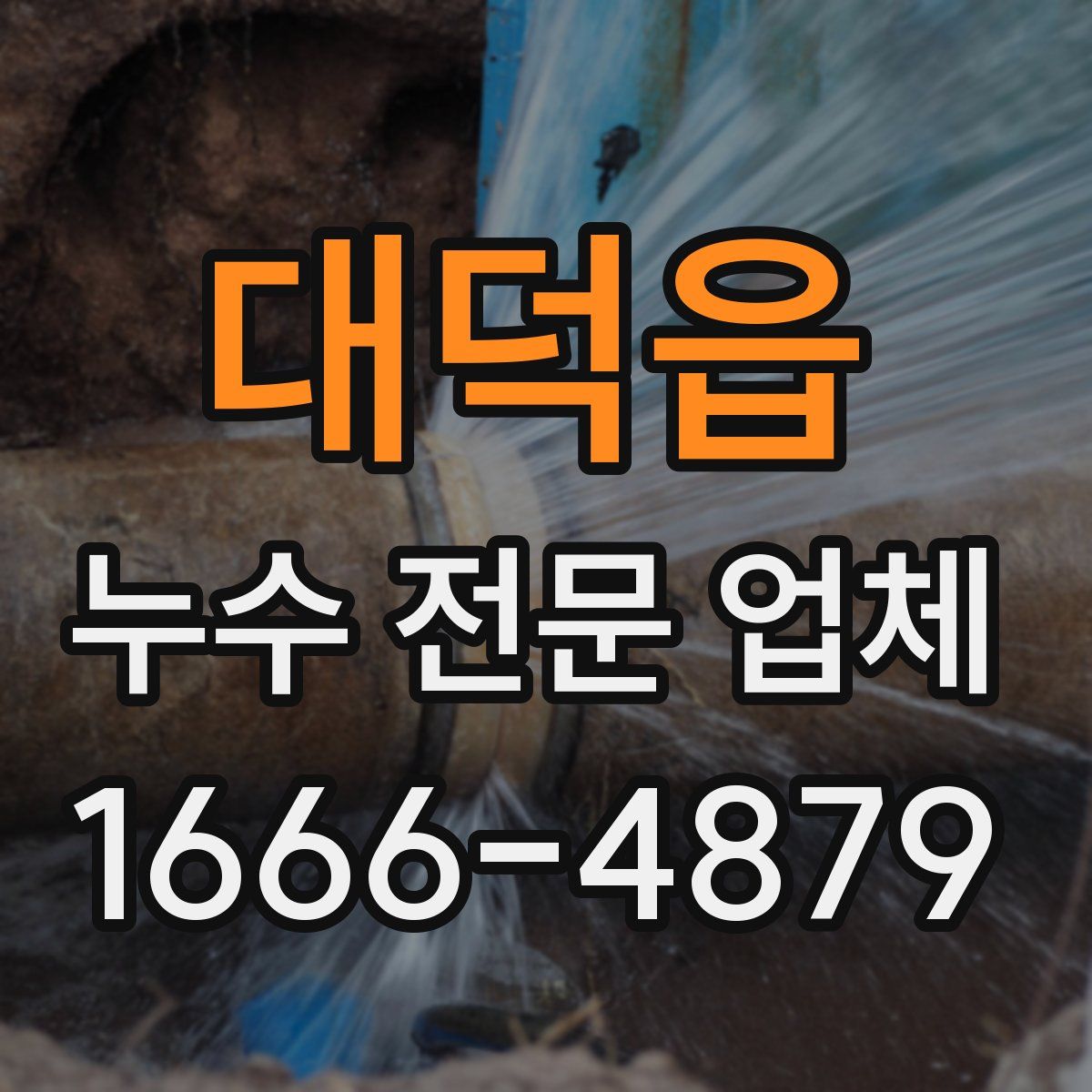 대덕읍 누수 전문 업체