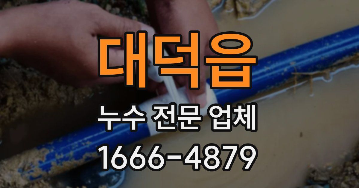 대덕읍 누수 전문 업체