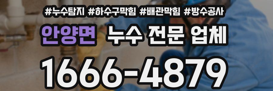 안양면 누수 전문 업체