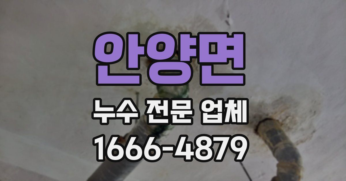 안양면 누수 전문 업체