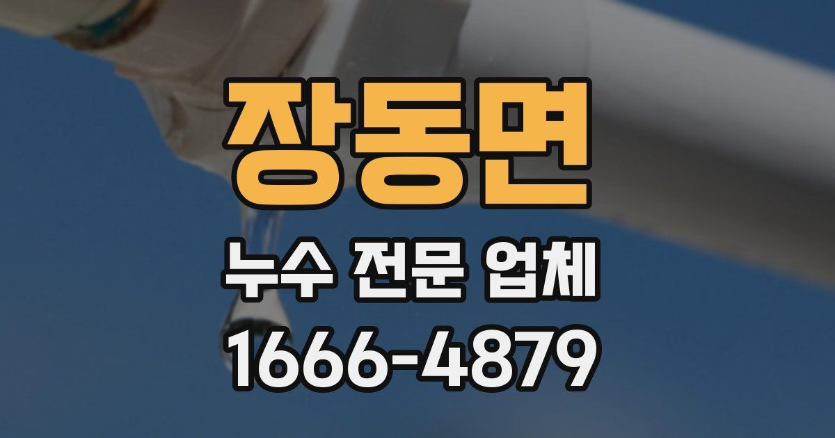 장동면 누수 전문 업체