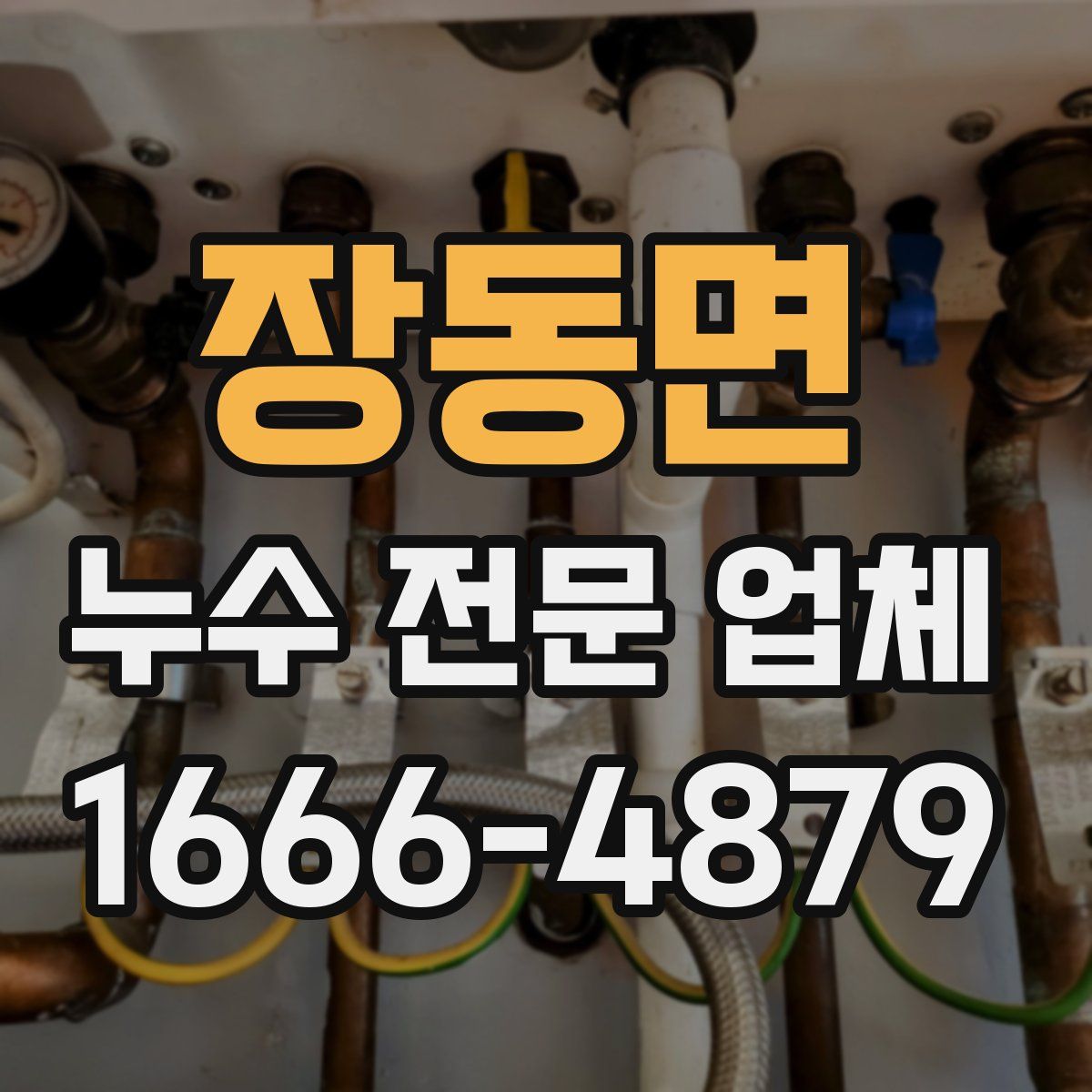 장동면 누수 전문 업체
