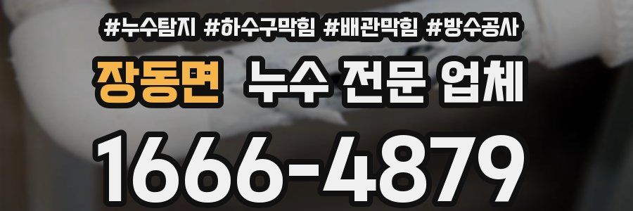 장동면 누수 전문 업체