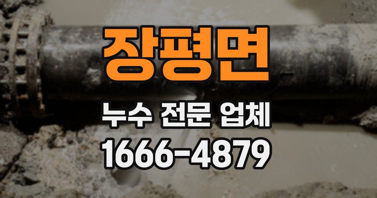 장평면 누수 전문 업체