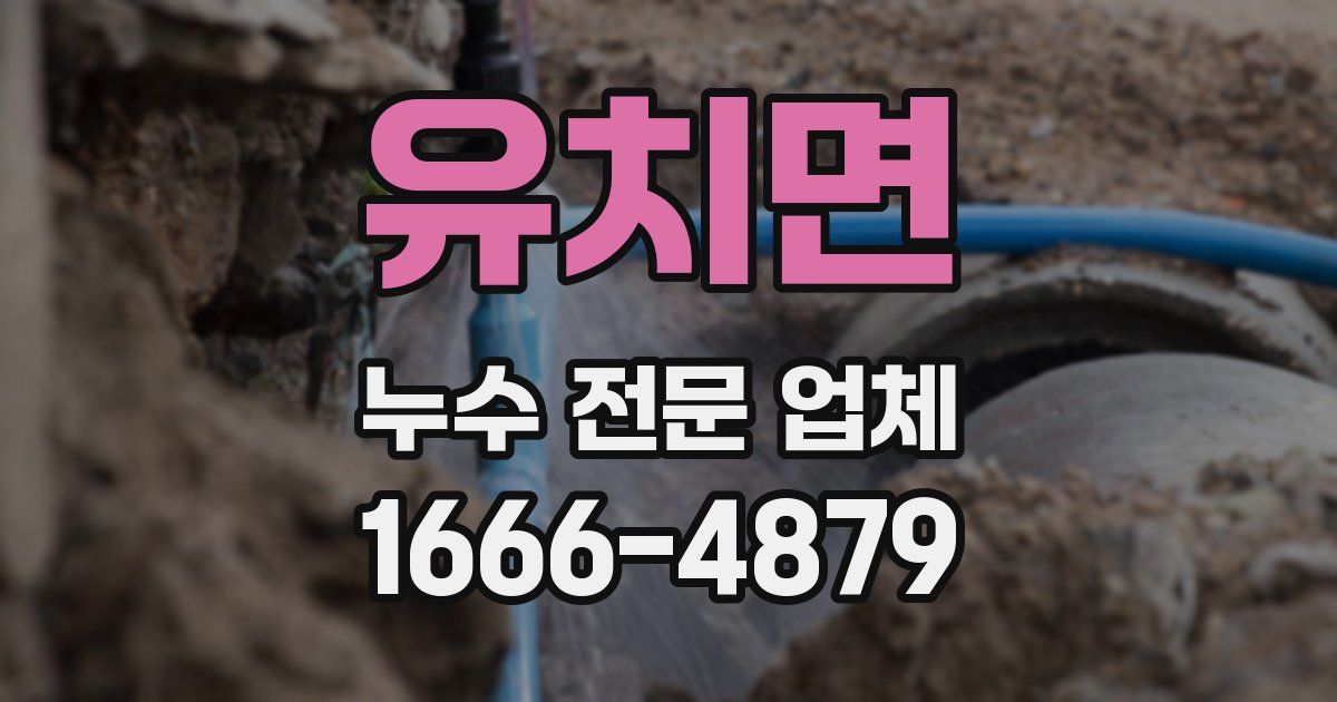 유치면 누수 전문 업체