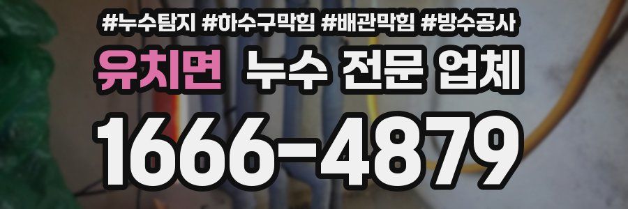 유치면 누수 전문 업체