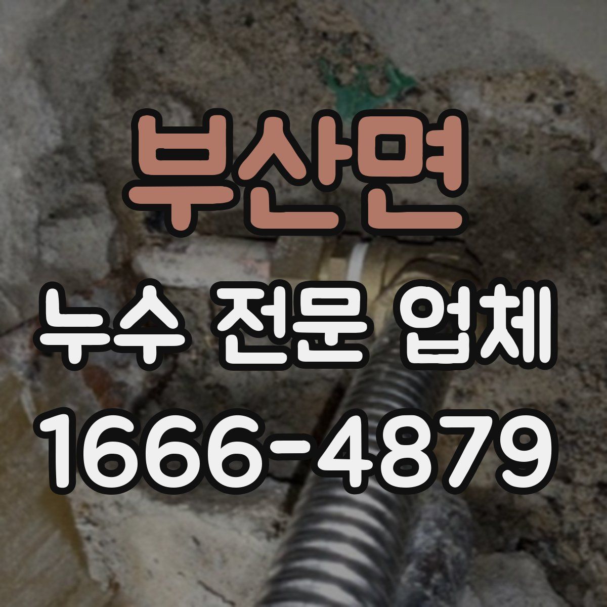 부산면 누수 전문 업체