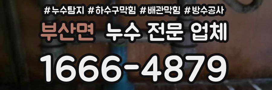 부산면 누수 전문 업체