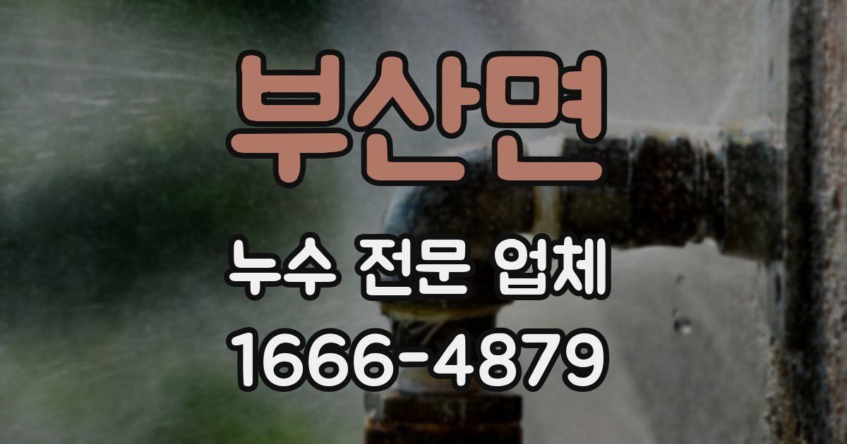 부산면 누수 전문 업체