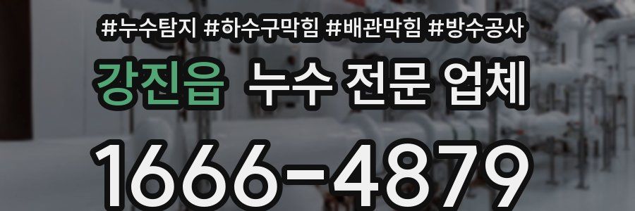 강진읍 누수 전문 업체