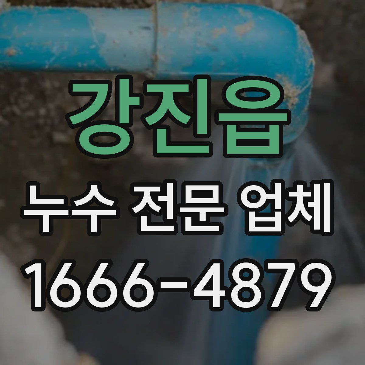 강진읍 누수 전문 업체
