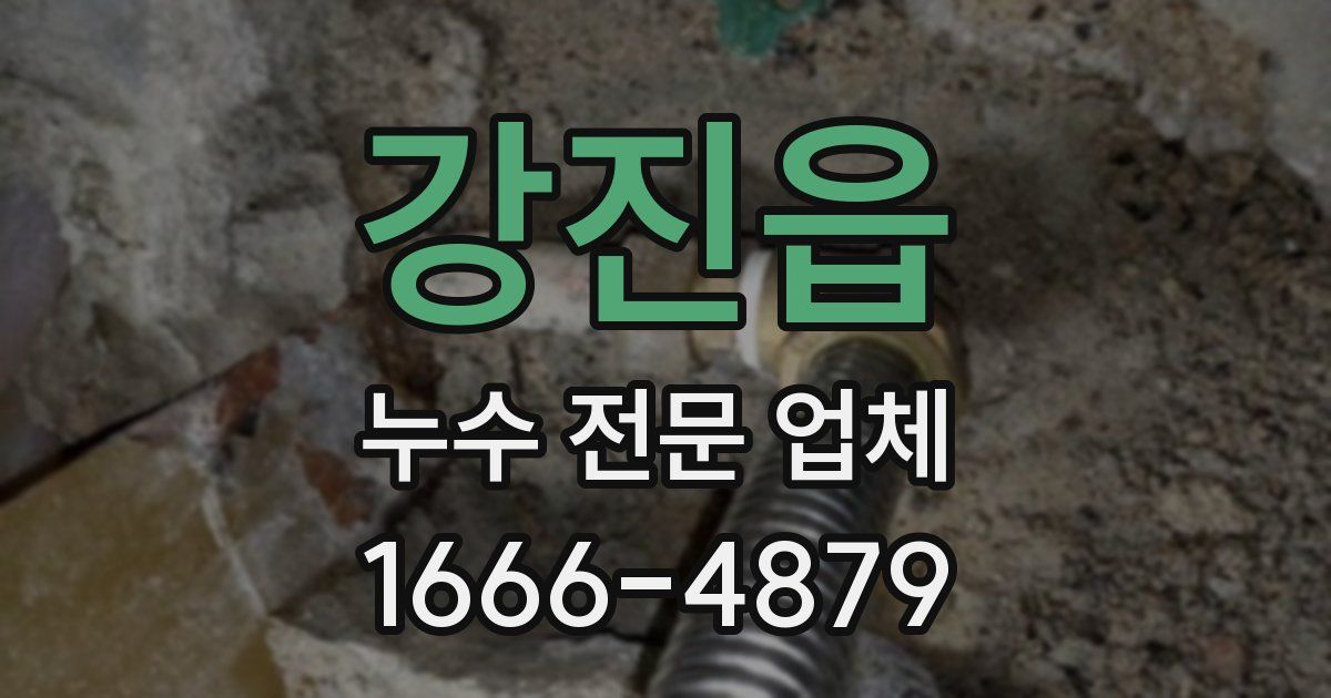 강진읍 누수 전문 업체