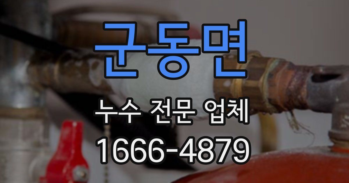 군동면 누수 전문 업체