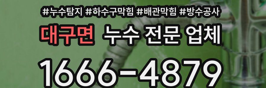 대구면 누수 전문 업체
