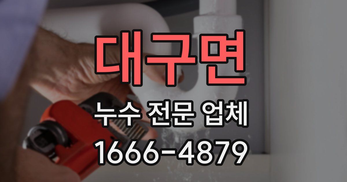 대구면 누수 전문 업체