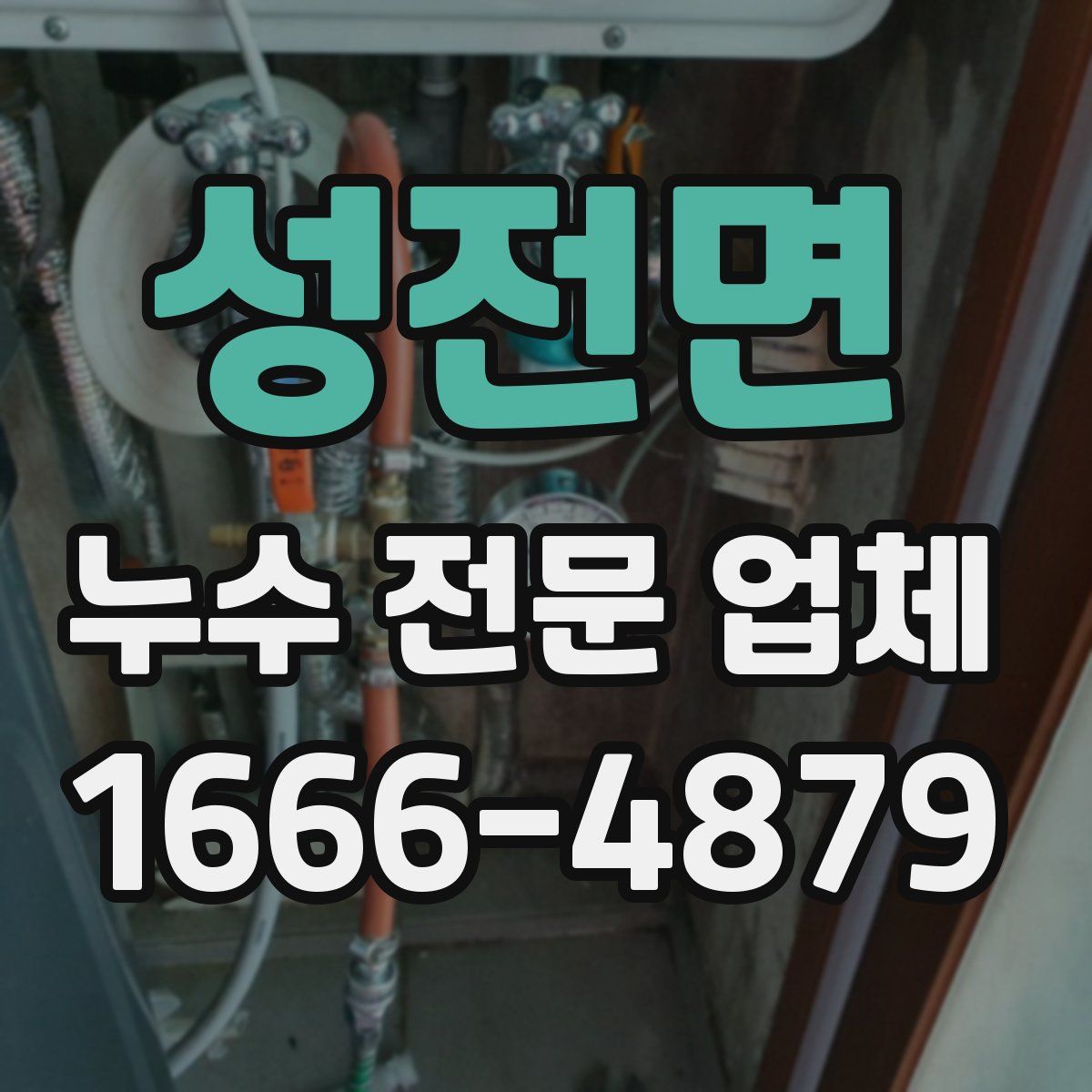 성전면 누수 전문 업체
