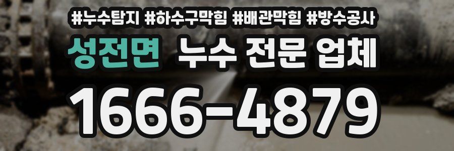 성전면 누수 전문 업체
