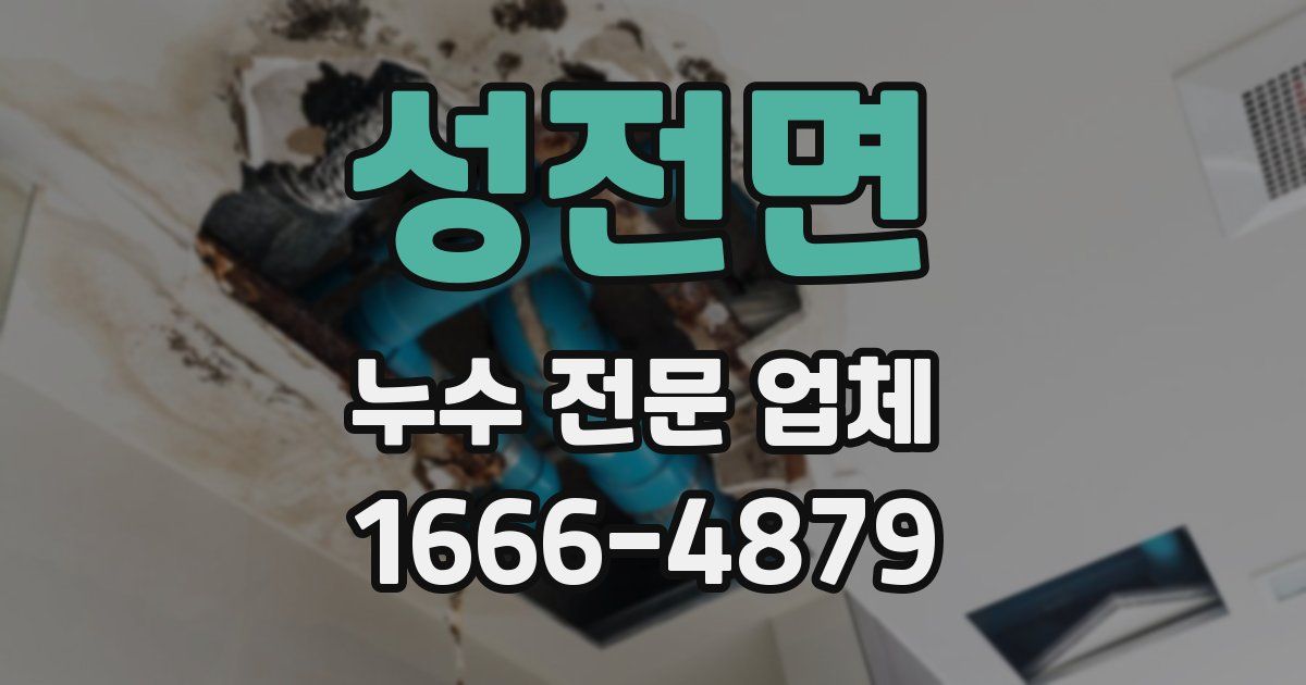 성전면 누수 전문 업체