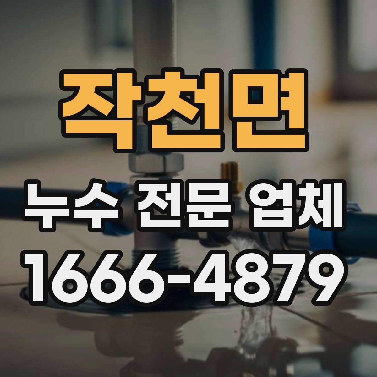 작천면 누수 전문 업체