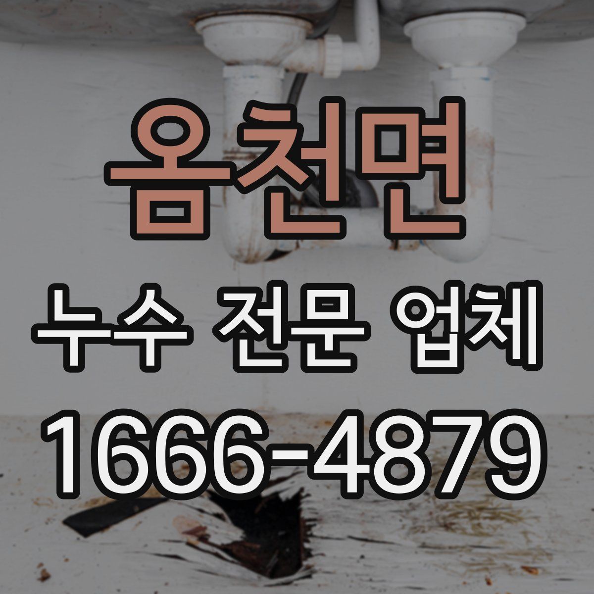 옴천면 누수 전문 업체