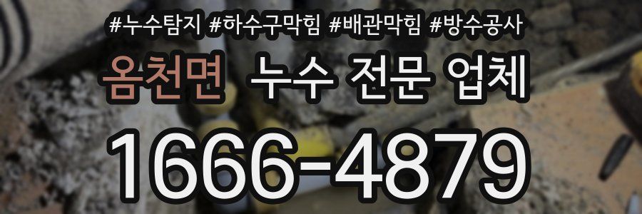 옴천면 누수 전문 업체