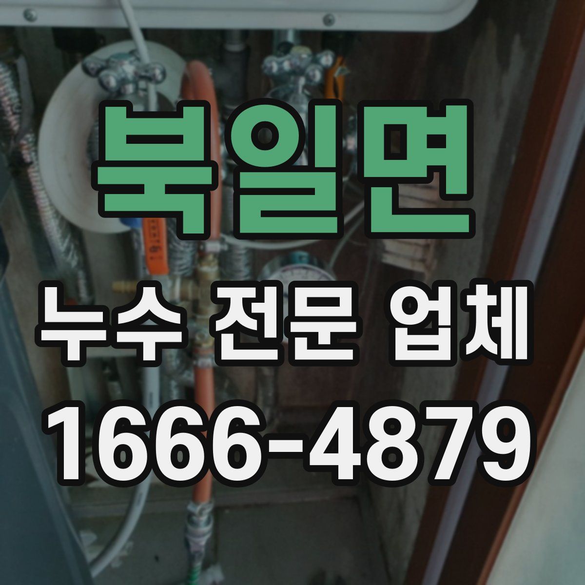 북일면 누수 전문 업체