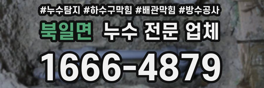 북일면 누수 전문 업체