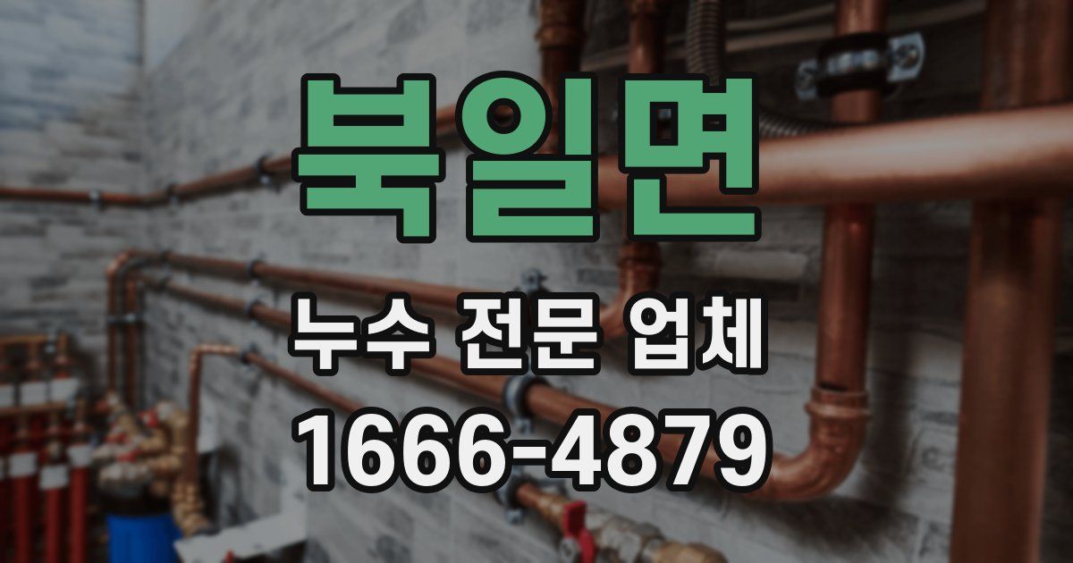 북일면 누수 전문 업체
