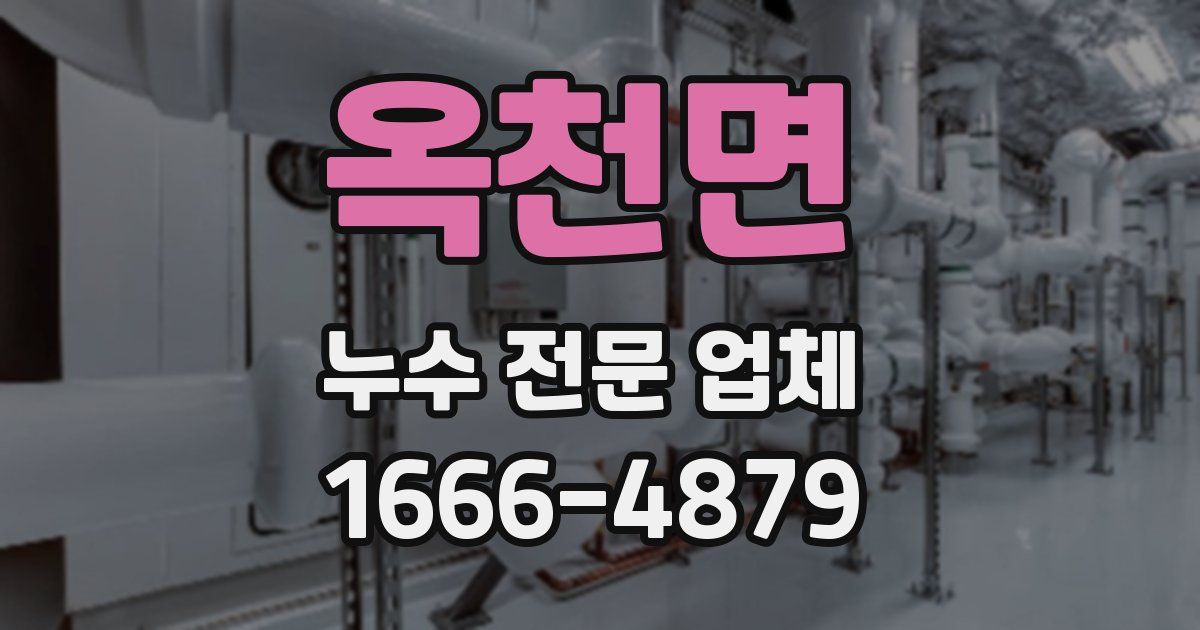 옥천면 누수 전문 업체