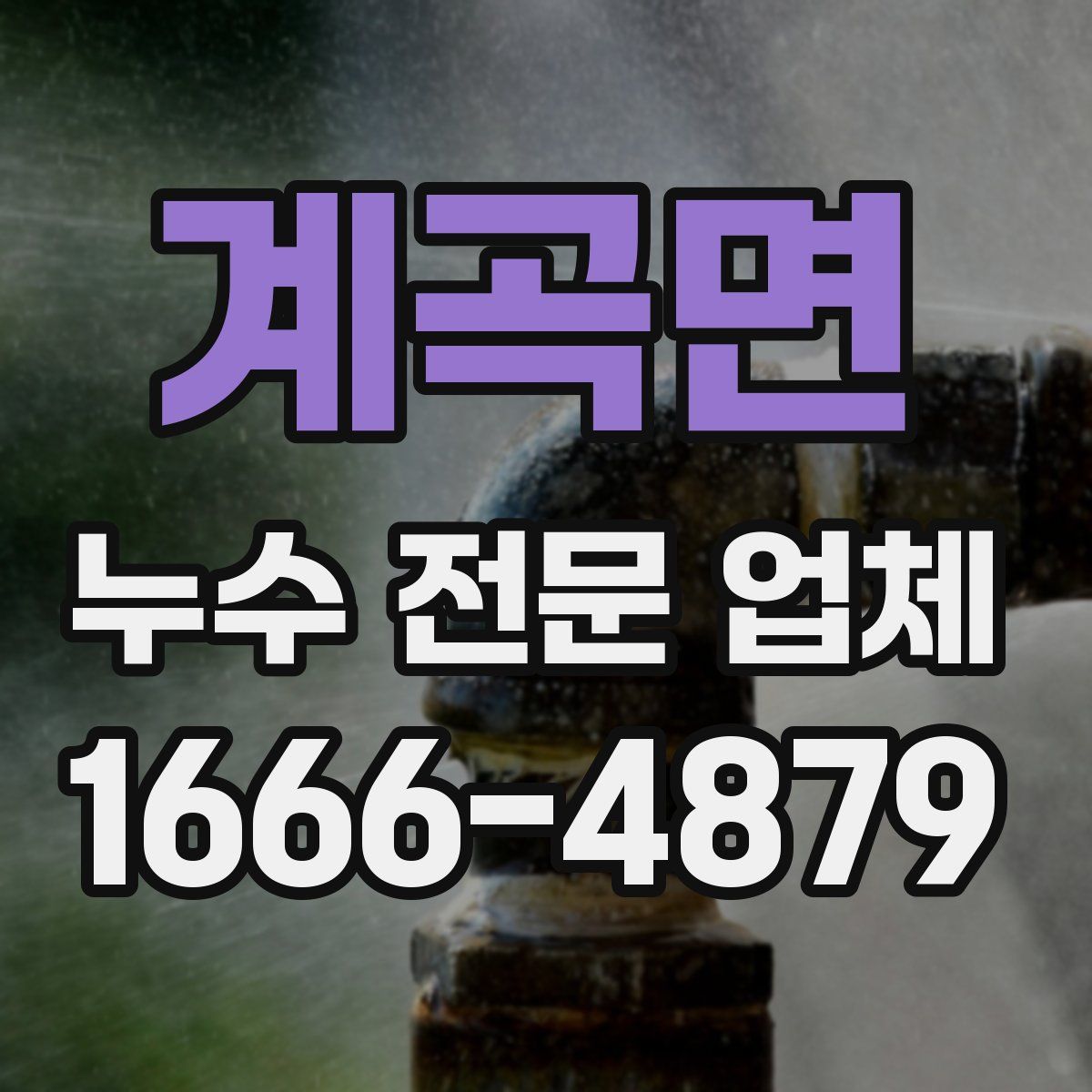 계곡면 누수 전문 업체