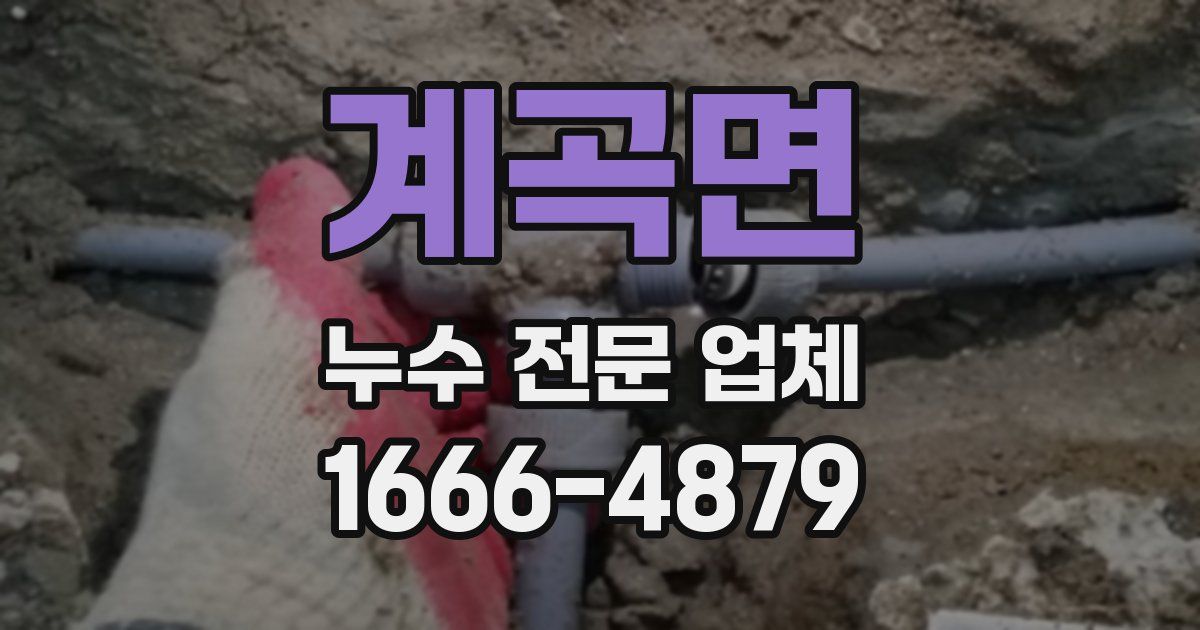 계곡면 누수 전문 업체