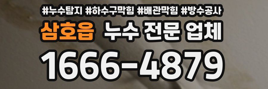 삼호읍 누수 전문 업체