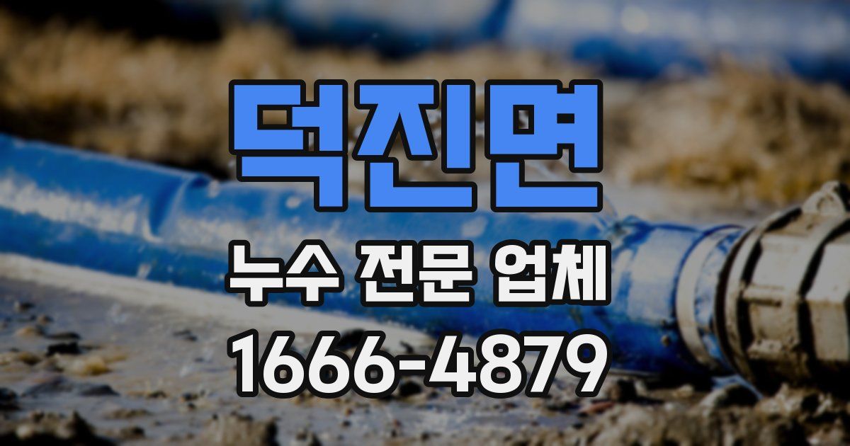 덕진면 누수 전문 업체