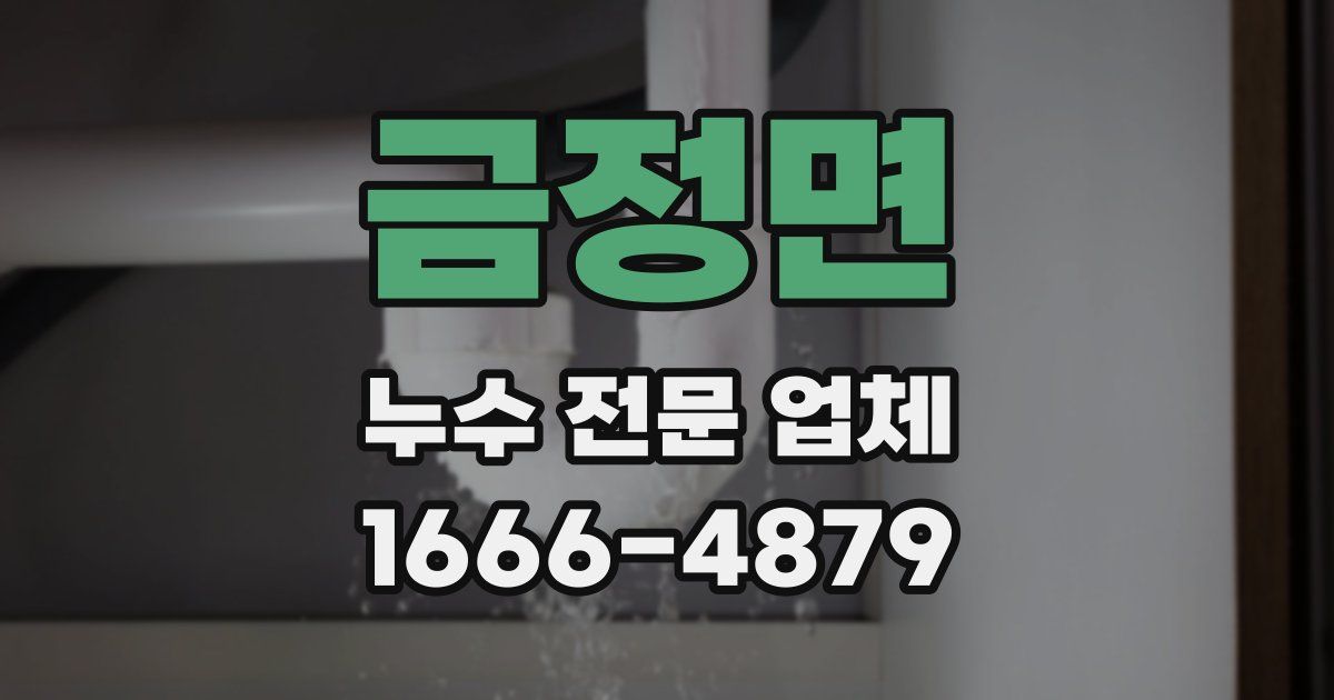 금정면 누수 전문 업체