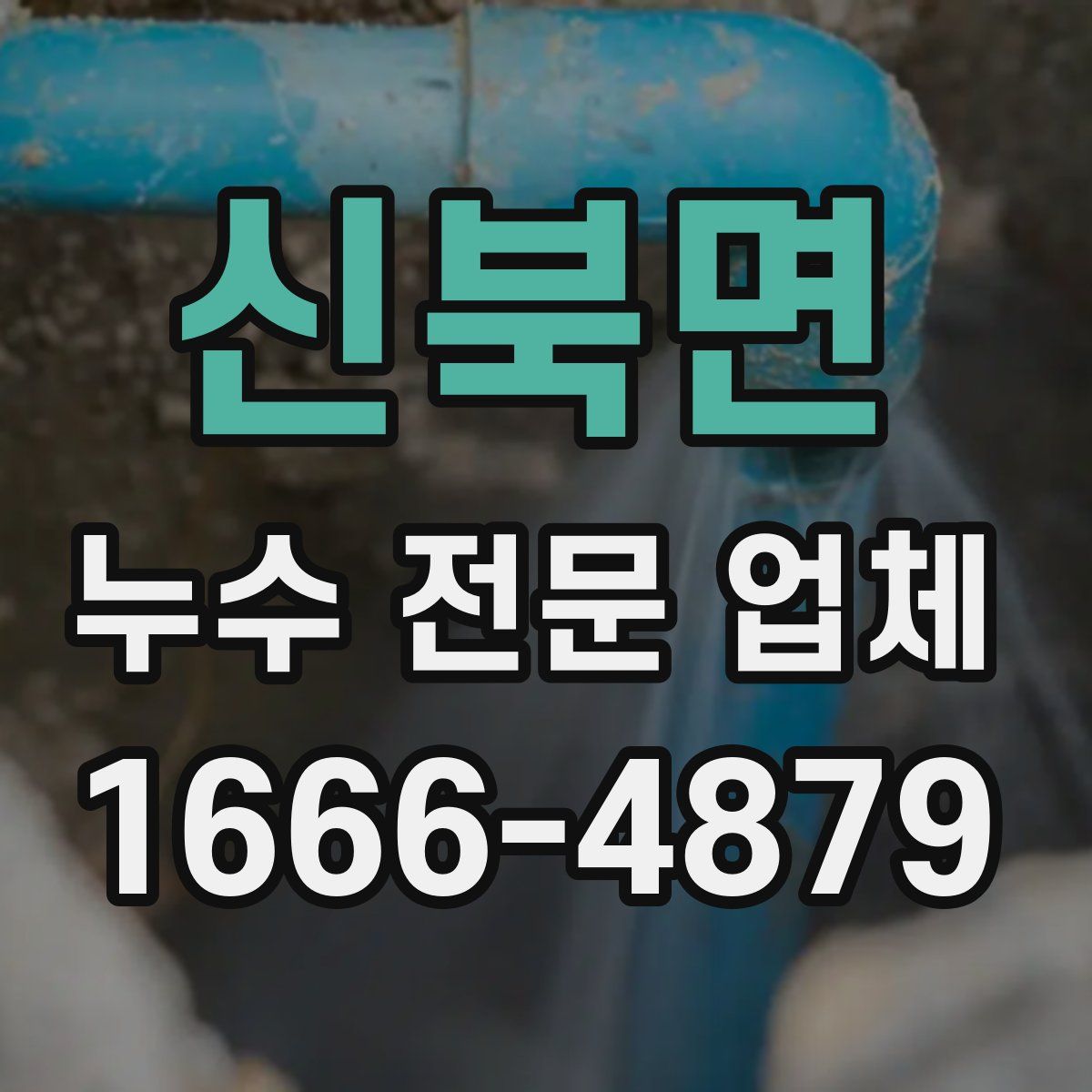 신북면 누수 전문 업체