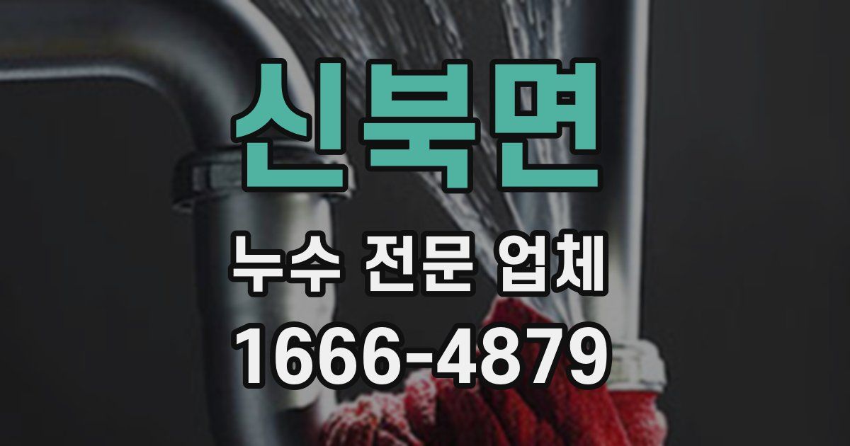 신북면 누수 전문 업체