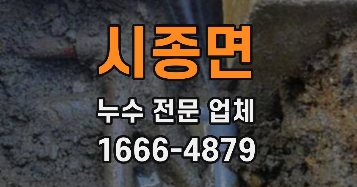 시종면 누수 전문 업체