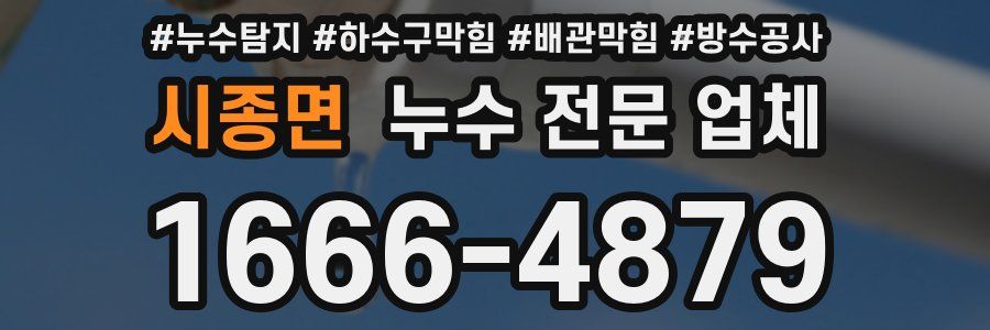 시종면 누수 전문 업체