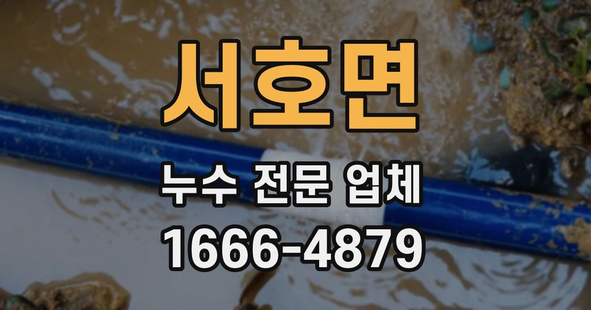 서호면 누수 전문 업체